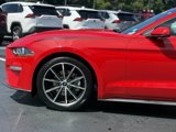 Used 2019 Ford Mustang Premium w/ Equipment Group 201A image 2