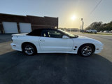 Used 2001 Pontiac Firebird Trans Am image 4
