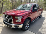 Used 2017 Ford F150 XLT w/ Equipment Group 302A Luxury image 4