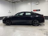 Certified 2025 Acura Integra A-Spec image 3