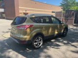 Used 2014 Ford Escape Titanium w/ Equipment Group 401A image 3