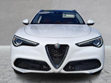 Used 2019 Alfa Romeo Stelvio Ti image 3