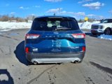 Used 2020 Ford Escape SE image 5
