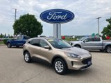 Certified 2020 Ford Escape SE image 1