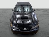Used 2003 Ford Mustang GT Premium image 6