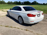 Used 2015 BMW 428i Convertible image 6