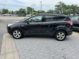 Used 2014 Ford Escape SE w/ Equipment Group 201A image 4