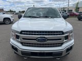 Used 2019 Ford F150 XLT w/ Equipment Group 302A Luxury image 3