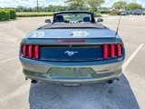 Used 2015 Ford Mustang Premium w/ Equipment Group 201A image 3