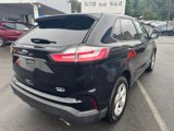 Used 2020 Ford Edge SE w/ Cargo Accessory Package image 5