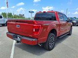 Used 2023 Ford F150 XLT w/ Equipment Group 302A High image 4