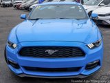 Certified 2017 Ford Mustang Coupe w/ Enhanced Security Package image 4