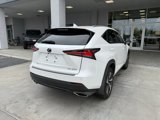 Used 2019 Lexus NX 300 AWD image 3