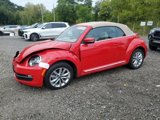 Used 2015 Volkswagen Beetle TDI image 3