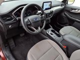 Used 2021 Ford Escape SE image 6