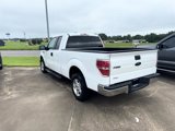 Used 2013 Ford F150 XLT image 4