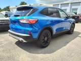 Used 2020 Ford Escape SE Sport image 5