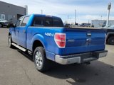 Used 2014 Ford F150 XLT w/ Equipment Group 302A Luxury image 3