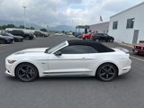 Used 2017 Ford Mustang GT Premium w/ Equipment Group 401A image 2