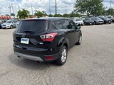 Used 2017 Ford Escape SE w/ SE Cold Weather Package image 5