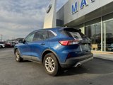 Used 2022 Ford Escape SE w/ Convenience Package image 6