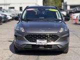 Used 2022 Ford Escape SE w/ SE Sport Appearance Package image 4