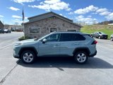 Used 2023 Toyota RAV4 XLE w/ XLE Grade Weather Package image 2