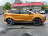 Used 2016 Ford Escape SE w/ SE Leather Comfort Package image 6