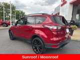 Used 2018 Ford Escape SEL w/ SEL Sport Appearance Package image 5