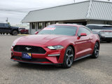 Certified 2021 Ford Mustang Coupe image 2