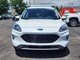 Used 2020 Ford Escape SEL image 5