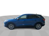Used 2022 Ford Escape SE image 5