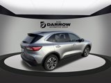 Used 2022 Ford Escape SEL image 5