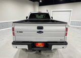 Used 2010 Ford F150 XLT image 5