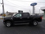 New 2024 Ford F150 XLT w/ Equipment Group 302A MID image 3