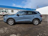 New 2025 Ford Escape Active w/ Tech Pack #1 image 2