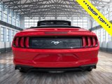 Used 2023 Ford Mustang Premium image 5