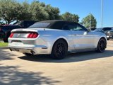 Used 2016 Ford Mustang Convertible w/ Equipment Group 051A image 2