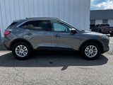 Used 2022 Ford Escape SE w/ Convenience Package image 2