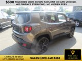 Used 2017 Jeep Renegade Altitude image 6