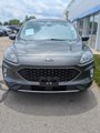 Used 2020 Ford Escape SEL image 2