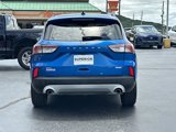 Used 2020 Ford Escape SEL image 4