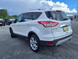 Used 2014 Ford Escape Titanium w/ Equipment Group 401A image 4