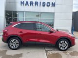Used 2022 Ford Escape SEL w/ Technology Package image 6