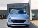 Used 2022 Ford Escape Titanium image 2
