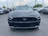 Certified 2020 Ford Mustang Premium image 2