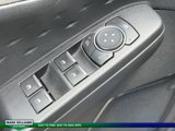 Used 2020 Ford Escape SEL image 5