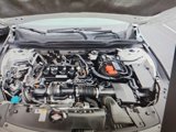 Used 2020 Honda Accord Sport image 5