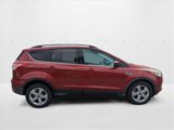Used 2014 Ford Escape SE w/ Equipment Group 201A image 5