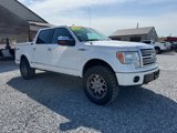 Used 2011 Ford F150 Platinum image 5